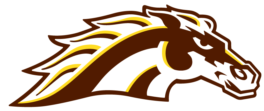 Western Michigan Broncos 2021-Pres Secondary Logo t shirts iron on transfers...